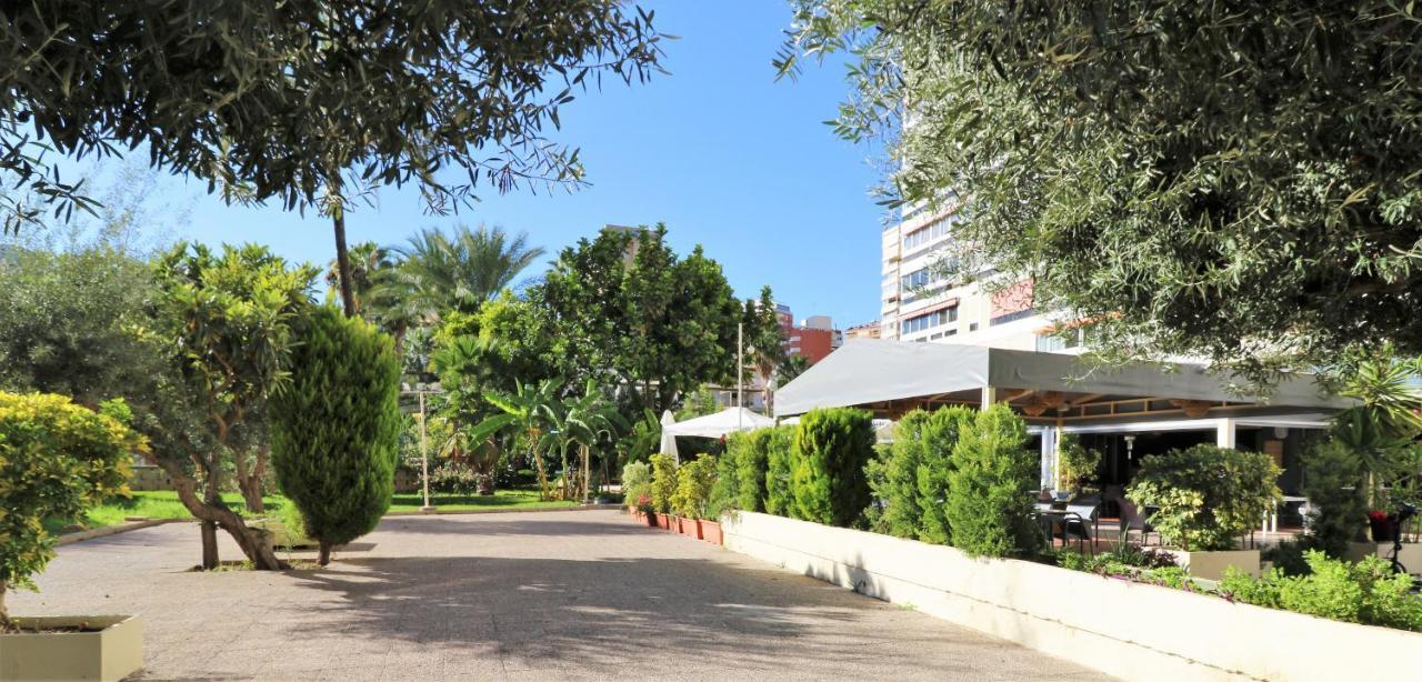 Penthouse Cervantes Sea View Benidorm Exteriör bild